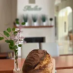 Villa Relax Vendeghaz Gárdony