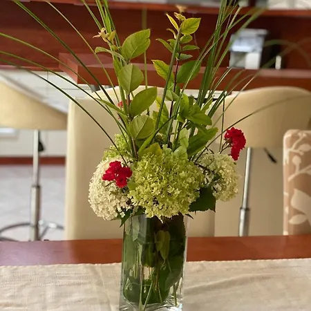 Βίλα Relax Vendeghaz Gárdony