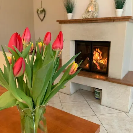 Relax Vendeghaz Villa