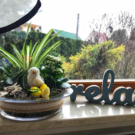 Relax Vendeghaz