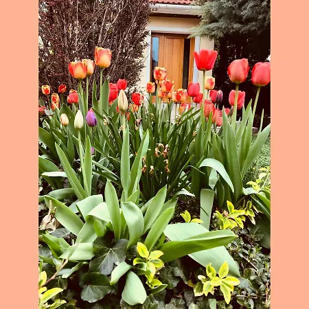 Βίλα Relax Vendeghaz *